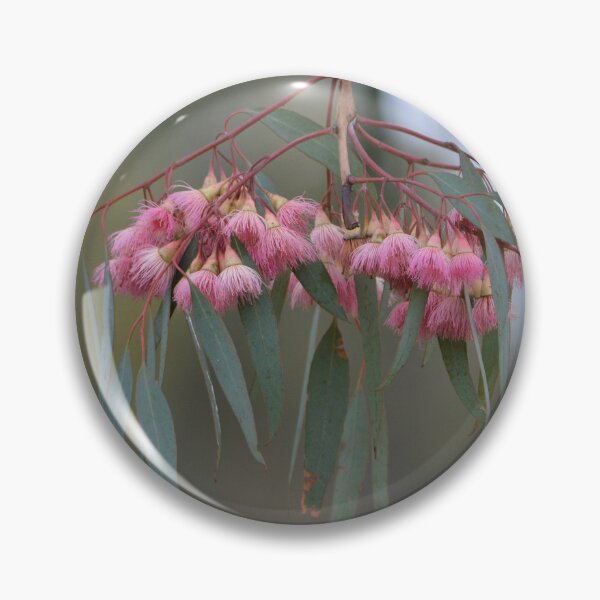Item preview, Eucalyptus designed and sold by DiDee74.