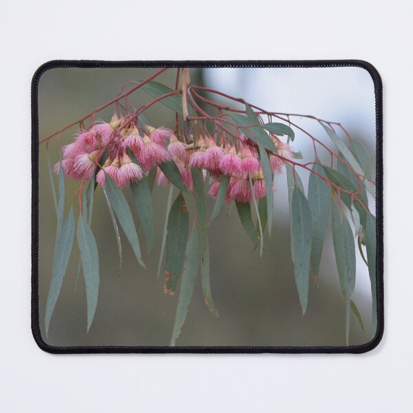 Item preview, Eucalyptus designed and sold by DiDee74.