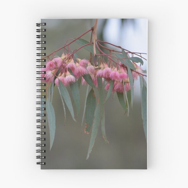 Item preview, Eucalyptus designed and sold by DiDee74.