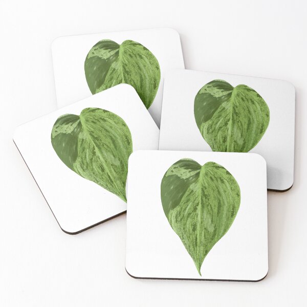 Item preview, Variegated Heartleaf Philodendron Plant Leaf designed and sold by sorooart.