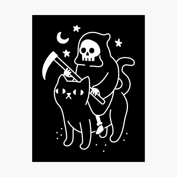 Death Rides A Black Cat Photographic Print