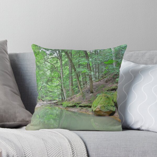 Item preview, Hiking Trail At Cedar Falls In Hocking Hill designed and sold by LisaWootenPhoto.