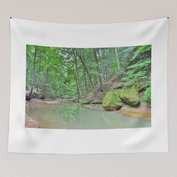 Item preview, Hiking Trail At Cedar Falls In Hocking Hill designed and sold by LisaWootenPhoto.