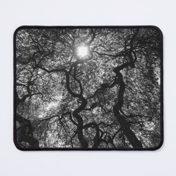 Item preview, Tree of Light designed and sold by Rachel Boucher.