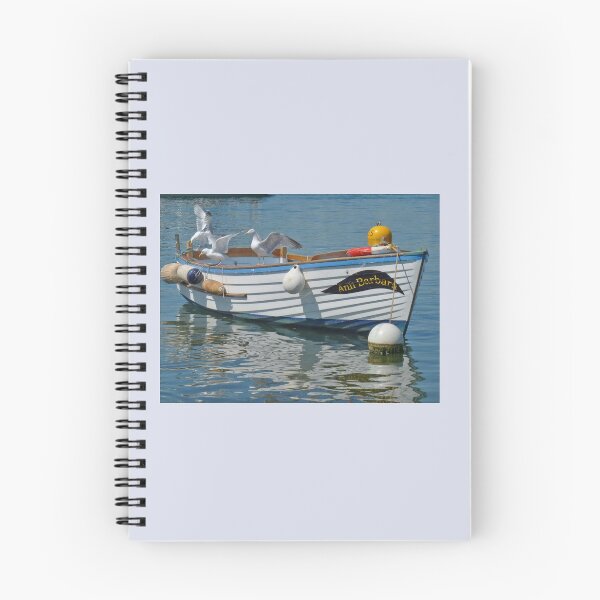 Item preview, Three Gulls In A Boat designed and sold by lynn carter.