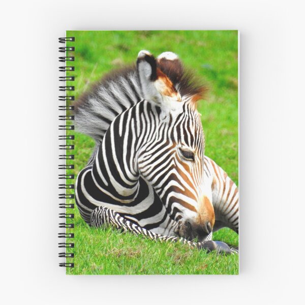 Item preview, Zebra potro cuatro designed and sold by Barnbk02.