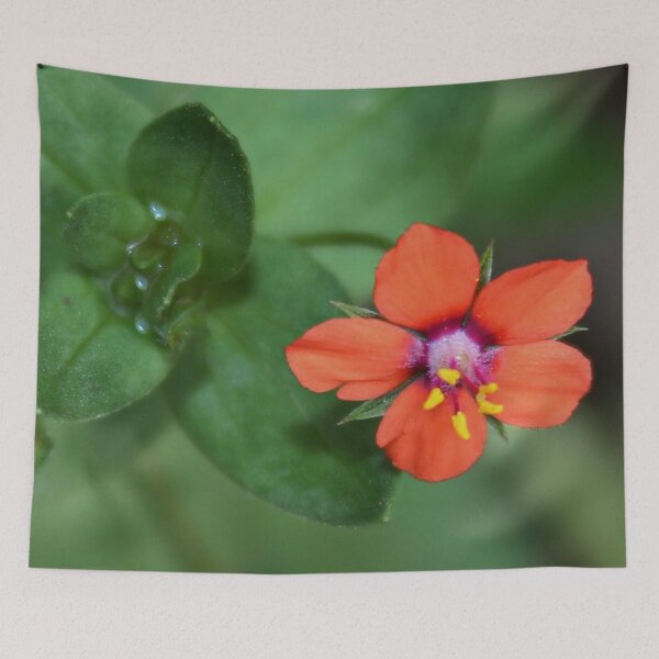 Item preview, Scarlet Pimpernel designed and sold by AnnDixon.