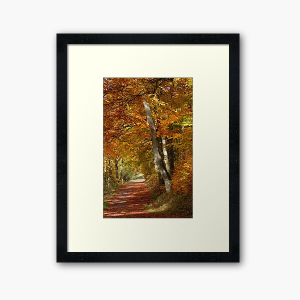 Item preview, Wendover Woodland walk in Autumn designed and sold by katiecornet.