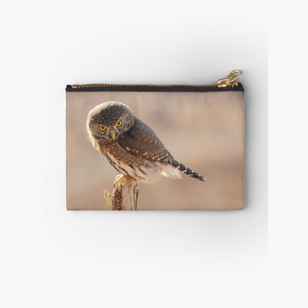 Item preview, Pygmy Owl 3 designed and sold by Tracy Friesen.