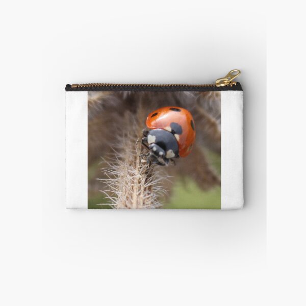 Item preview, Maplewood Ladybug 2 designed and sold by It's All Malarkey.