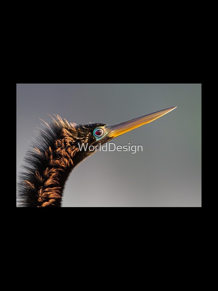 Thumbnail 4 of 4, iPhone Case, Anhinga designed and sold by WorldDesign.
