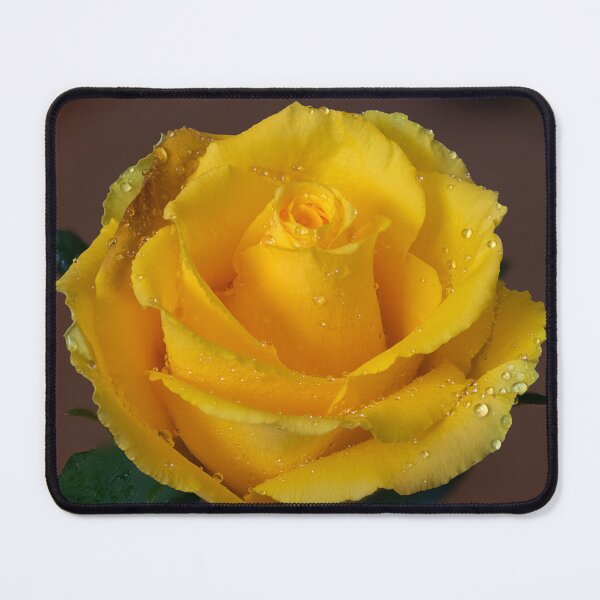 Item preview, Yellow Rose Portrait designed and sold by likbatonboot.