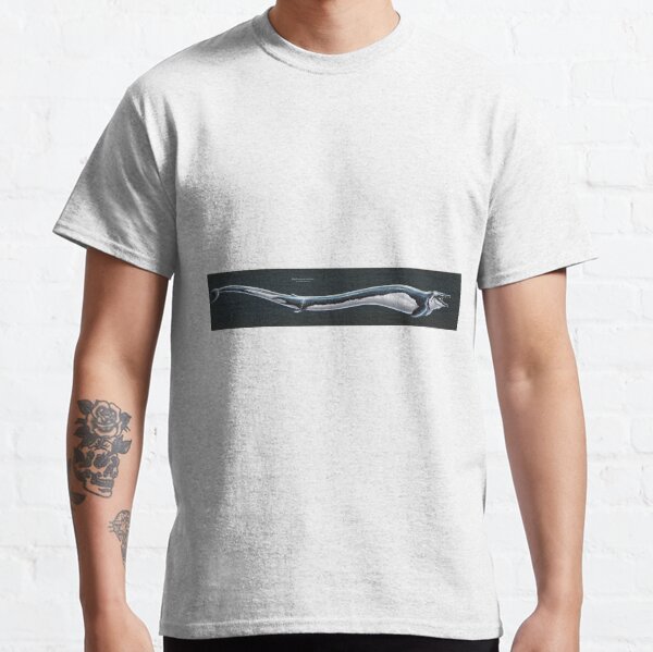 Basilosaurus Cetoides Restored Classic T-Shirt