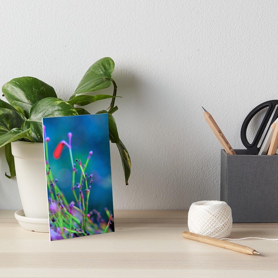 Item preview, Art Board Print designed and sold by equilibrio.