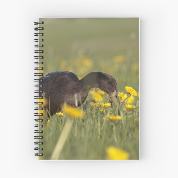 Item preview, Run duck in a dandelion meadow designed and sold by anatida.