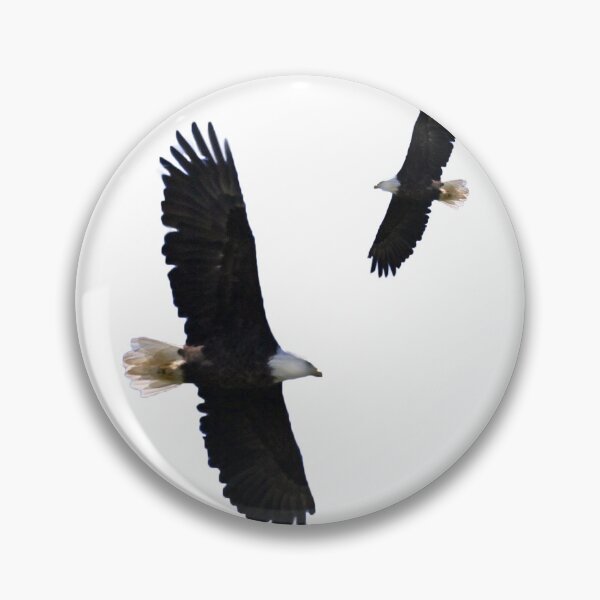Item preview, Two Eagles Circling designed and sold by PaulKPhoto.