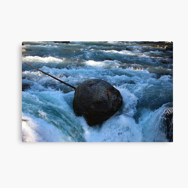 Waterstone Canvas Print