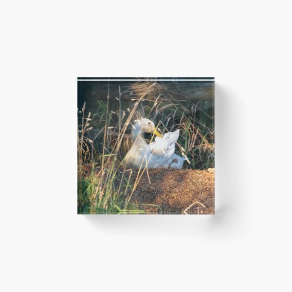 Item preview, Running duck in autumn designed and sold by anatida.