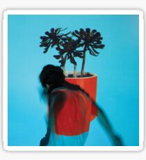 Local Natives Sunlit Youth Sticker