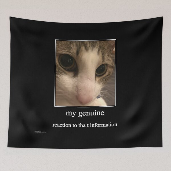 Item preview, Stupid Cat Finger Reaction Meme designed and sold by Alapied.