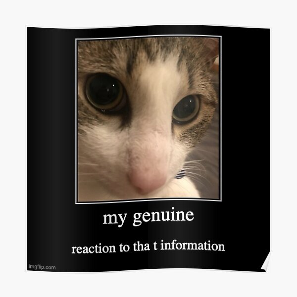 "Stupid Cat Finger Reaction Meme" Poster for Sale by Alapied Redbubble