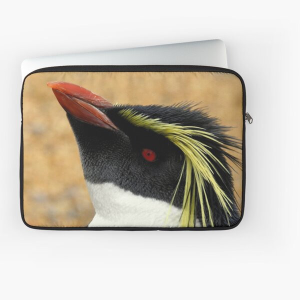 Aperçu de l'œuvre Profil de Rockhopper créée et vendue par Barnbk02.