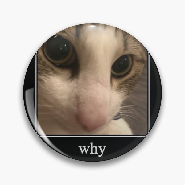Item preview, Cat Finger Why did you do that Meme designed and sold by Alapied.