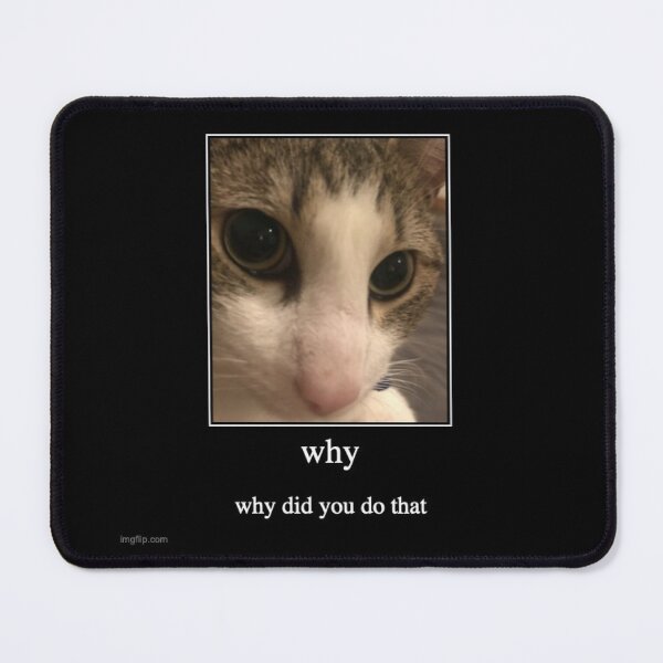 Item preview, Cat Finger Why did you do that Meme designed and sold by Alapied.