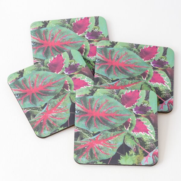 Item preview, CALADIUMS N COLEUSES designed and sold by DAVID Liberty.