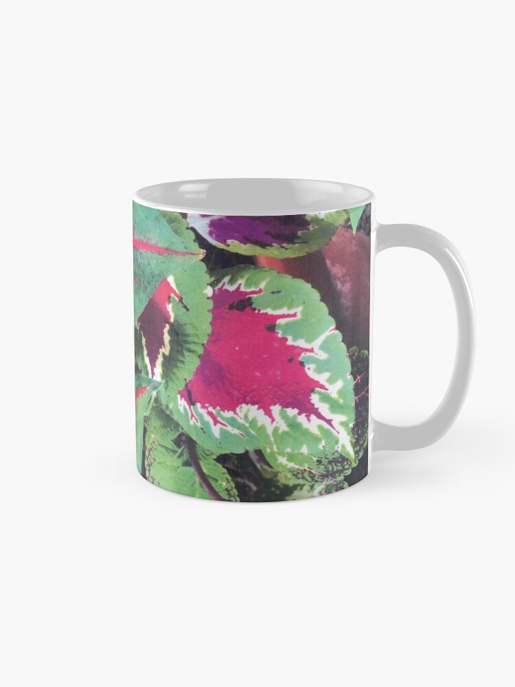 Thumbnail 5 of 6, Coffee Mug, CALADIUMS N COLEUSES designed and sold by DAVIDLIBERTY.