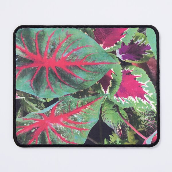 Item preview, CALADIUMS N COLEUSES designed and sold by DAVID Liberty.