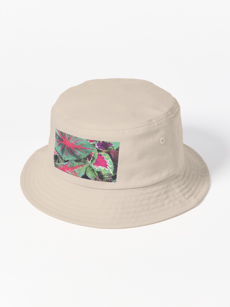 Thumbnail 1 of 6, Bucket Hat, CALADIUMS N COLEUSES designed and sold by DAVIDLIBERTY.