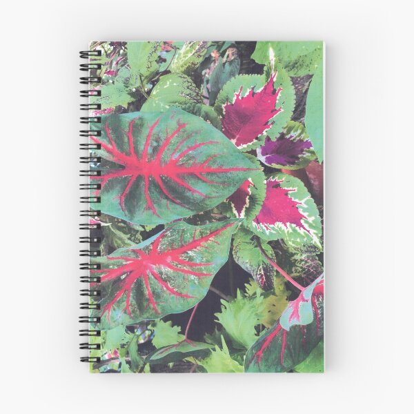 Item preview, CALADIUMS N COLEUSES designed and sold by DAVID Liberty.