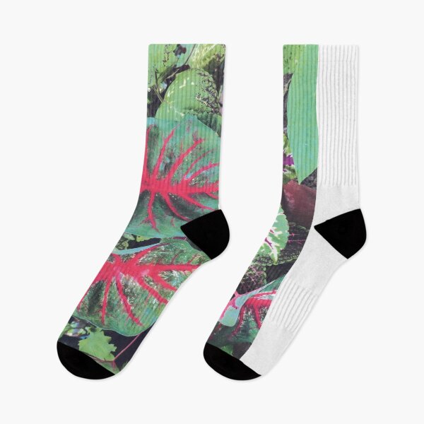 Item preview, CALADIUMS N COLEUSES designed and sold by DAVID Liberty.