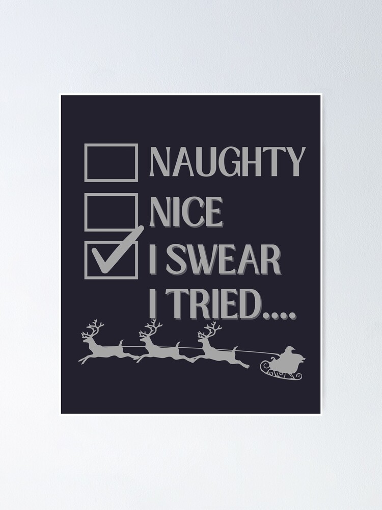 Christmas Funny Naughty or Nice or Tried List Small Christmas Stocking