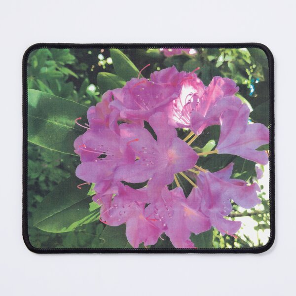 Item preview, LAVENDER RHODY designed and sold by DAVID Liberty.