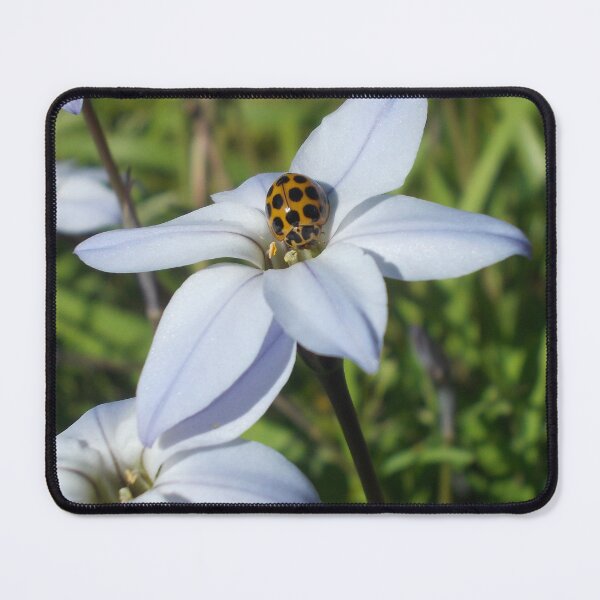 Item preview, Good Afternoon, Ladybug. designed and sold by Bron Rauk-Mitchell.