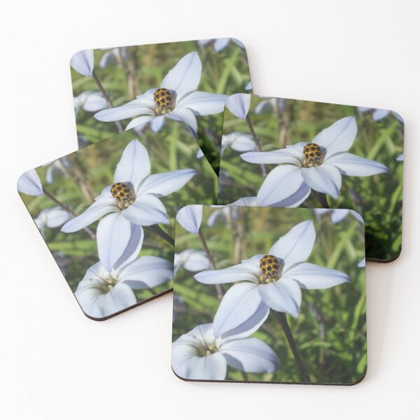 Item preview, Good Afternoon, Ladybug. designed and sold by ButterflyMagick.