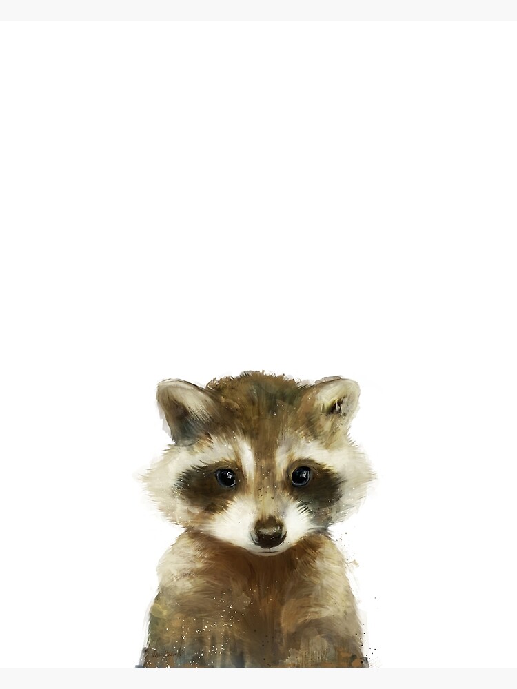 Little Raccoon by AmyHamilton
