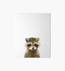 Little Raccoon Art Board