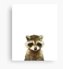 Little Raccoon Metal Print
