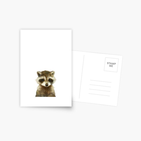 Little Raccoon Postcard