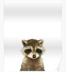 Little Raccoon Poster