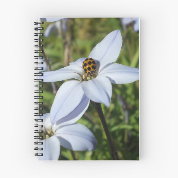 Item preview, Good Afternoon, Ladybug. designed and sold by Bron Rauk-Mitchell.