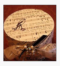 Jealous Is The Birdling - Band/Hat Box Photographic Print