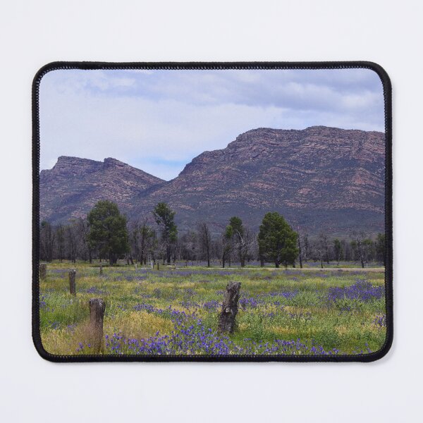 Item preview, Flinders Ranges 2022, with wildflowers. designed and sold by Lorraine McCarthy.