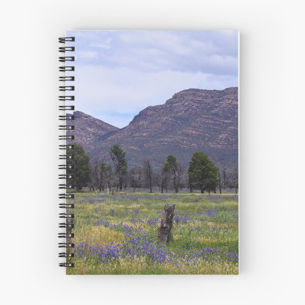Item preview, Flinders Ranges 2022, with wildflowers. designed and sold by Lorraine McCarthy.