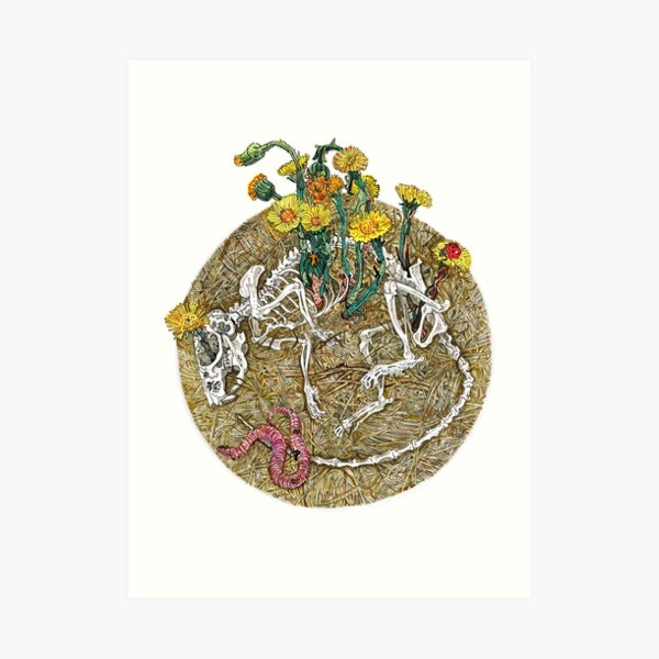 Circle of life. Art Print