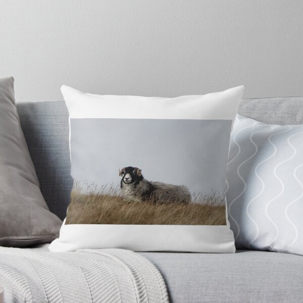 Item preview, sheeps designed and sold by frogs123.