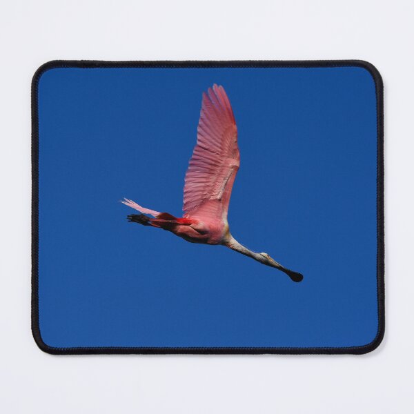 Item preview, Flight of the Spoonbill designed and sold by richardbryce.